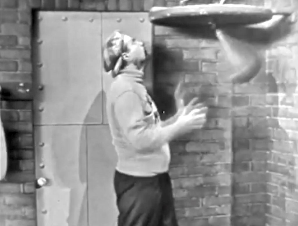 Cauliflower McPugg working the punching bag