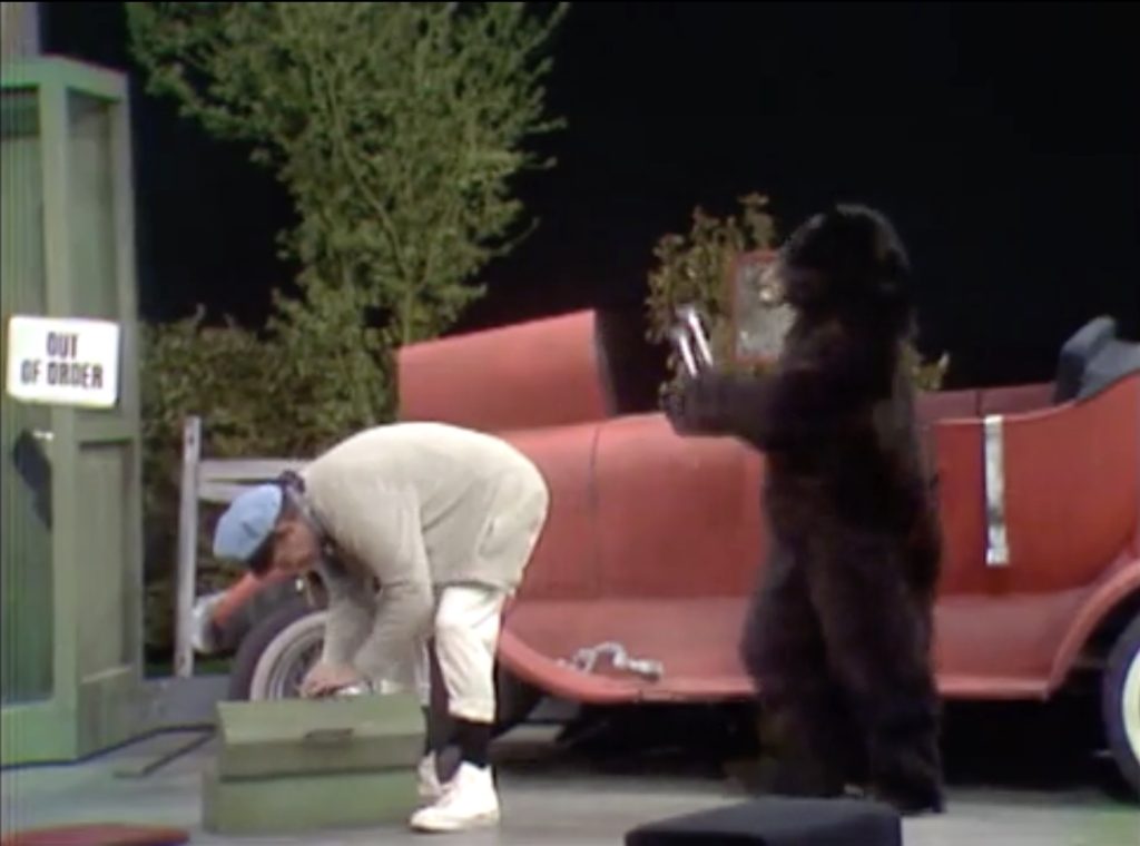 Then, the bear's been hit by the blaring car horn!