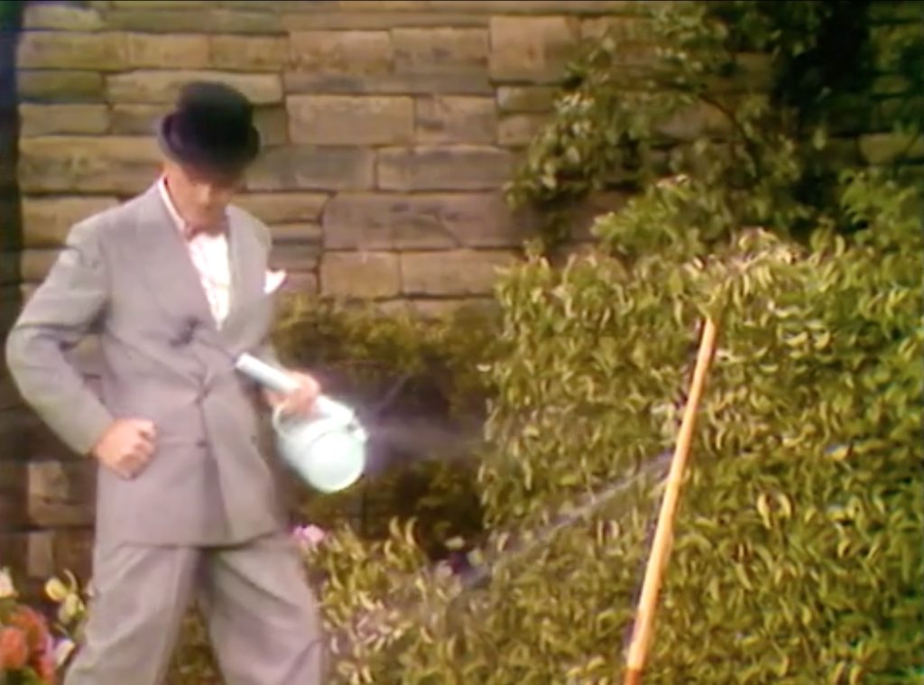 George Appleby spraying the bushes - and the bushes spray back