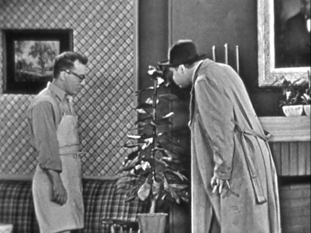 don't breathe on that plant