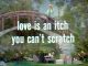 Love Is an Itch You Can't Scratch, The Red Skelton Hour season 17