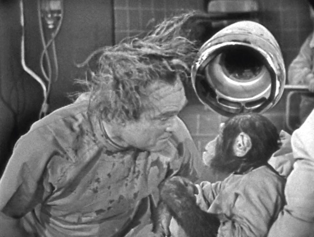 Dr. Schlepper's mind transfer experiment - whoops!