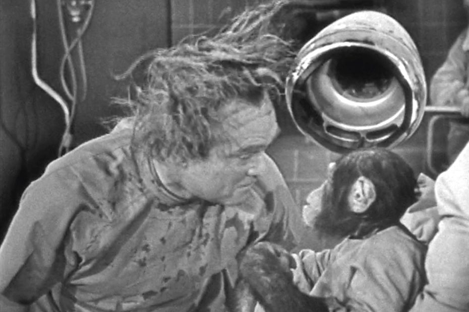 Dr. Schlepper's mind transfer experiment - whoops!