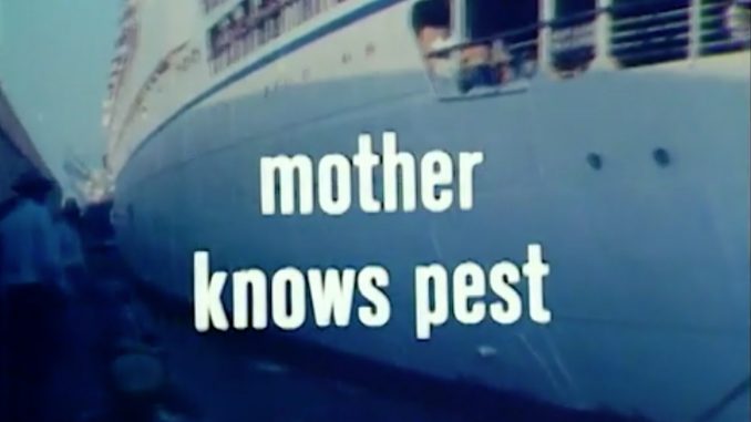 Mother Knows Best AKA Mother Knows Pest