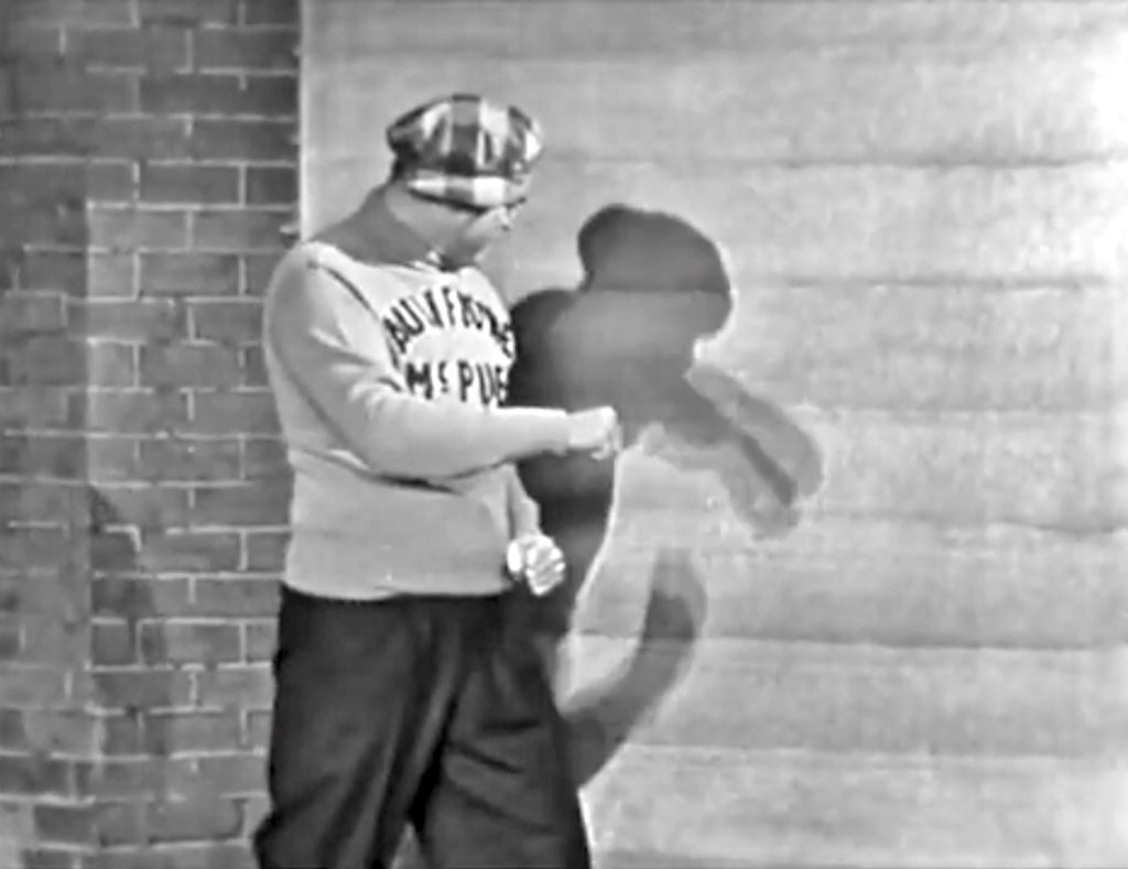 Cauliflower McPugg shadow boxing -- and his shadow runs away!